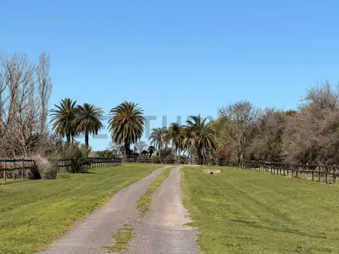 LOTE DE 1.4 Hectareas a la venta en Santa Maria de Lobos Polo.