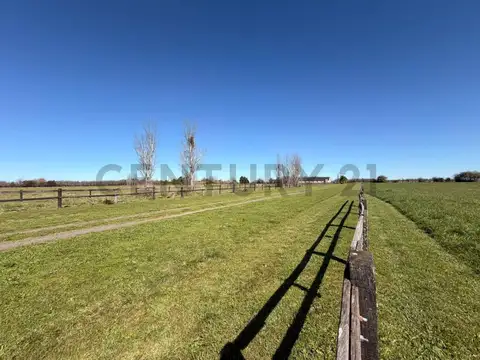 Terreno en Venta de 14200,0 m2