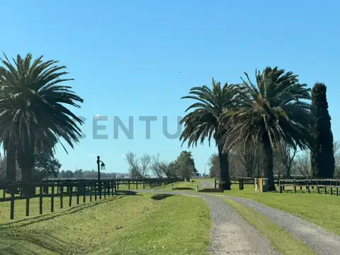 Ruta provincial 41, km193 , Piso 0
