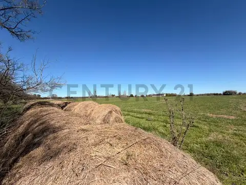Terreno en Venta de 14200,0 m2