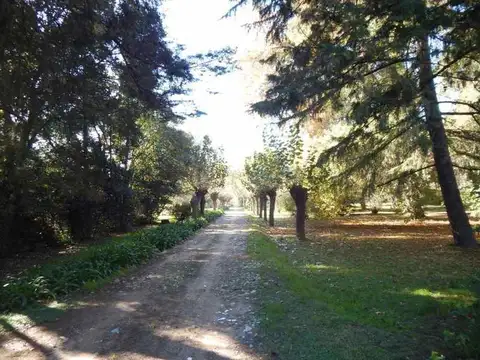 Terreno en Venta en Berazategui, USD 60.000