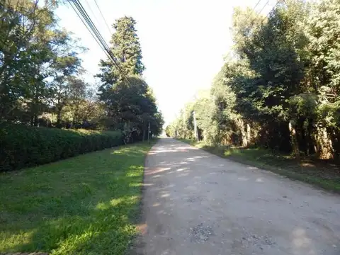 Calle 624 b