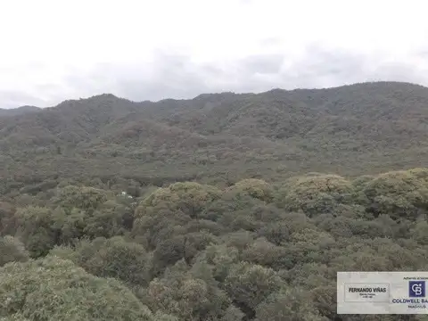 El Tipal 2