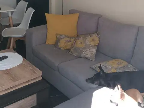 Departamento en Venta Permite mascota