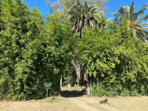 LOTE EN VENTA EN MAASCHWITZ- MAROTO PROPIEDADES