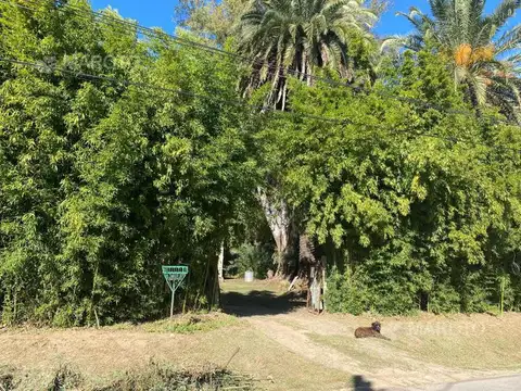 LOTE EN VENTA EN MASCHWITZ - MAROTO PROPIEDADES