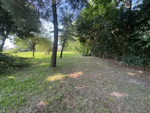 Terreno en Venta 53  mts Fondo