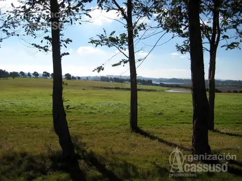 Terreno en Venta en Punta Ballena, USD 135.000