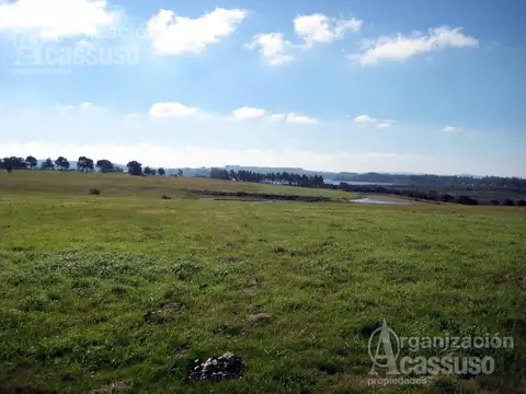 Laguna de Los Cisnes Punta Ballena- Lote Venta 5.300 m2 Barrio Cerrado Parrillero Piscina