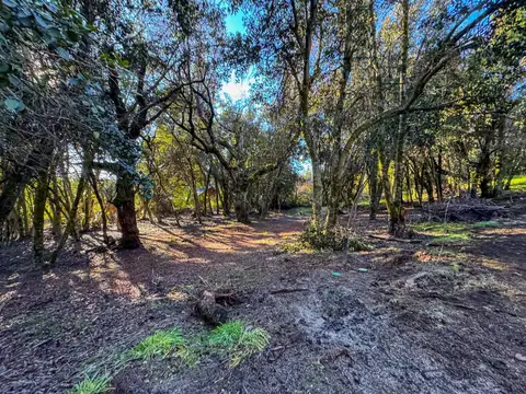 Terreno en Venta 24  mts Frente