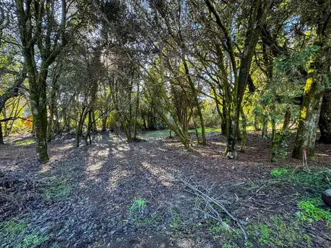 Terreno en Venta de 924,0 m2