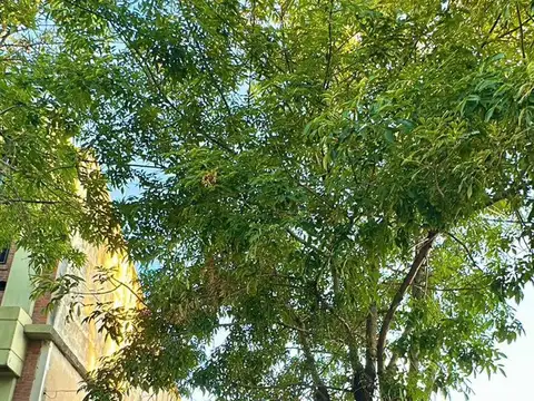VENTA LOTE EN  VILLA SARMIENTO