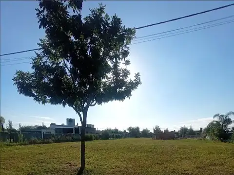 El lucero y martin fierro