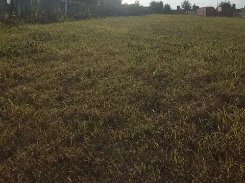 VENTA LOTE 137 PUNTA CHACRA, ROLDAN