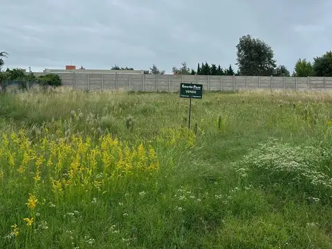 Terreno en venta en Trenque Lauquen, Don Heraldo