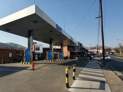 SE VENDE ESTACION DE GAS MAS TERRENO