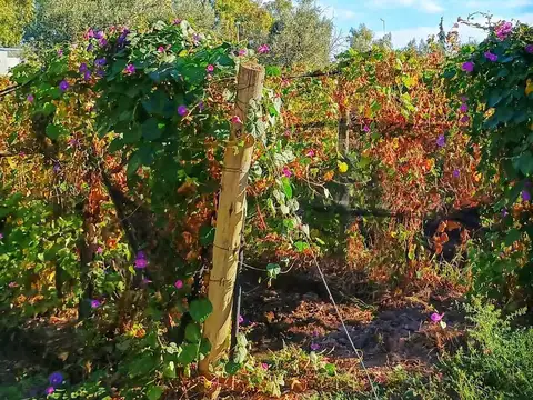 Terreno en Venta de 4093000000,0 m2