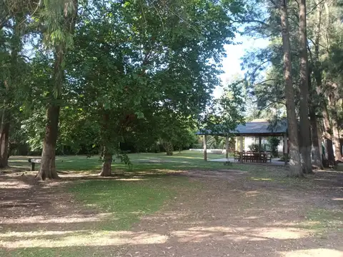 Quinta en alquiler en Abasto