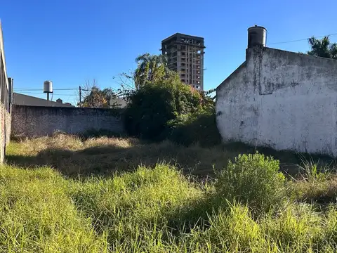 Alicia Moreau de Justo  al 300