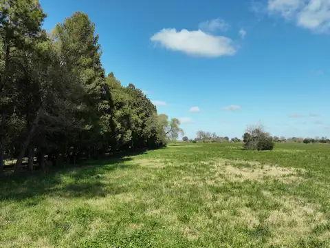 14,5 has. Campo Agrícola sobre Ruta 8 – Exaltación de la Cruz