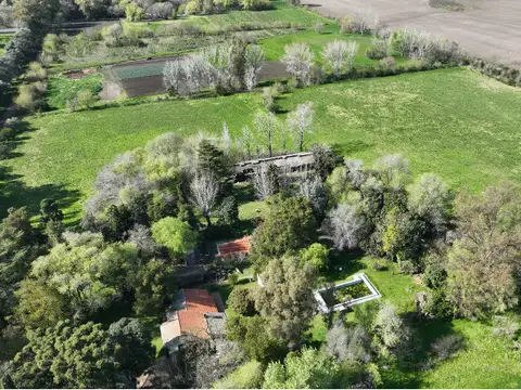 Campo en Venta Agrícola