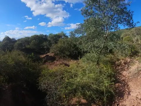 Terreno en Venta de 10000,0 m2