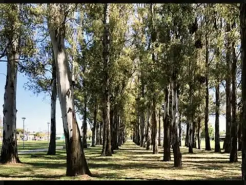 Terreno en Venta en Rosario, USD 19.000