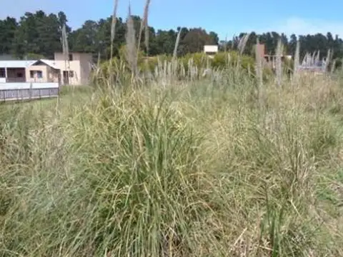 Terreno en Venta 10  mts Frente