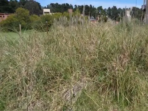 Calle 38 entre Pinamar y Necochea 100