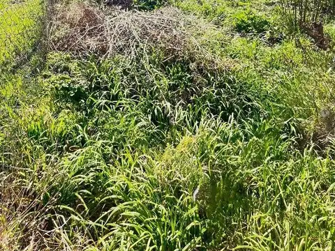 LOTE - TERRENO Barrio Protegido