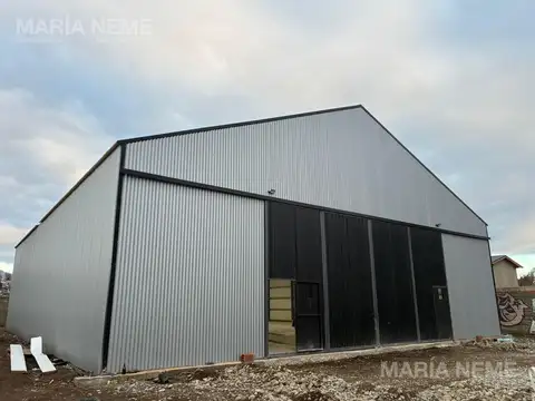 Asuncion 1215 - Alquiler - Galpon - 400 m2