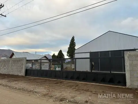 Asuncion 1215 - Alquiler - Galpon - 400 m2