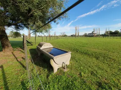 Campo en Alquiler de 2  ha