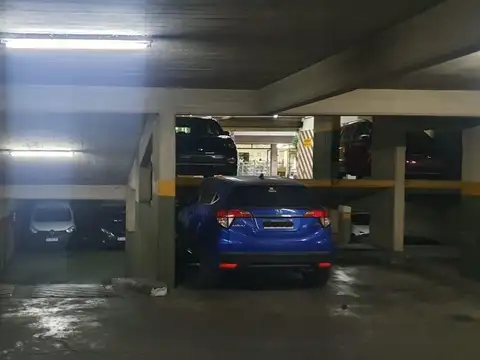 Hidalgo 100