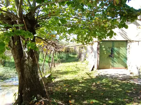 VIÑEDO EN VENTA EN LOS TALAS