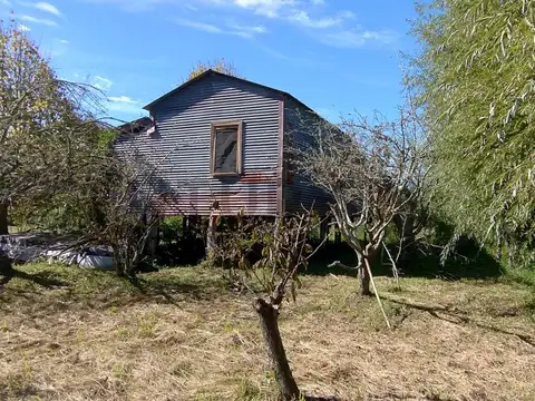 VIÑEDO EN VENTA EN LOS TALAS