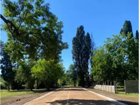 Terreno en Venta de 170,0 m2