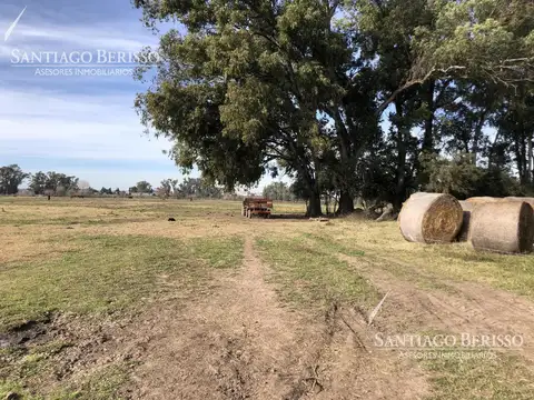 Campo en venta