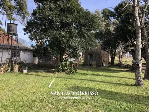 22 ha. Exaltación de la Cruz