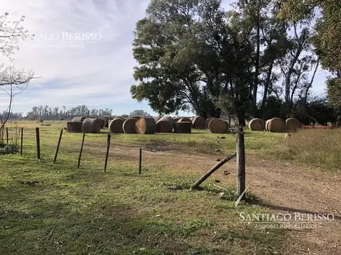Campo en venta