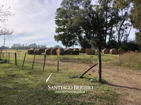 Campo en venta
