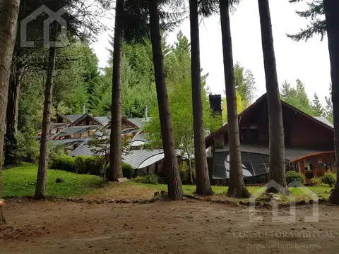 Los Pinos al 100