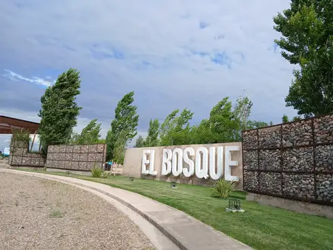 LOTES EN VENTA - MAIPÚ