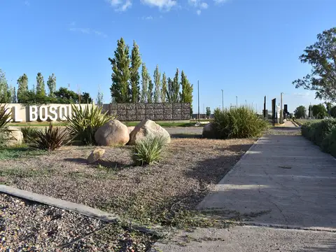 LOTES EN VENTA - MAIPÚ