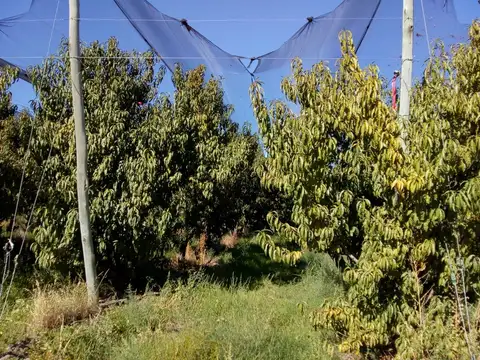 Campo en Venta de 5  ha