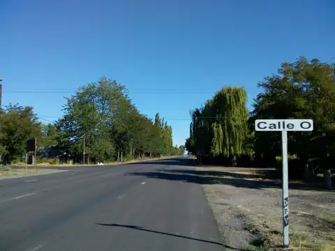 5 hectáreas plantadas con duraznos en prod. 3 variedades. Posiblidad de emprendimiento Turístico.