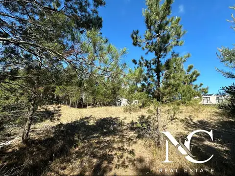 Terreno en Venta 45  mts Fondo