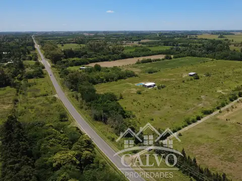 Terreno 4HA sobre Ruta 41. Mercedes, Buenos Aires.
