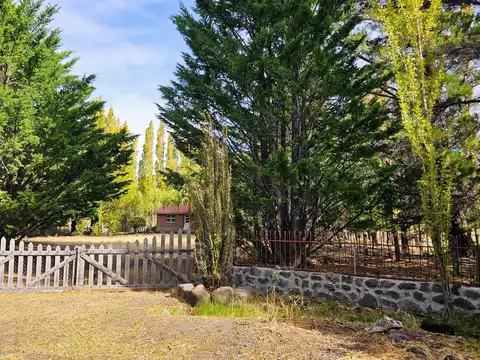 Campo productivo - precordillera Chubut -100% aguas naturales - 10.000 lanares esquila