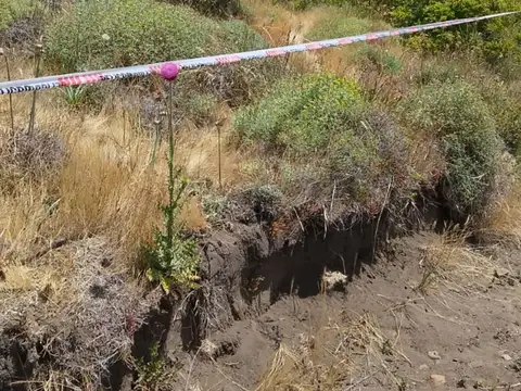 Terreno en Venta de 800,0 m2
